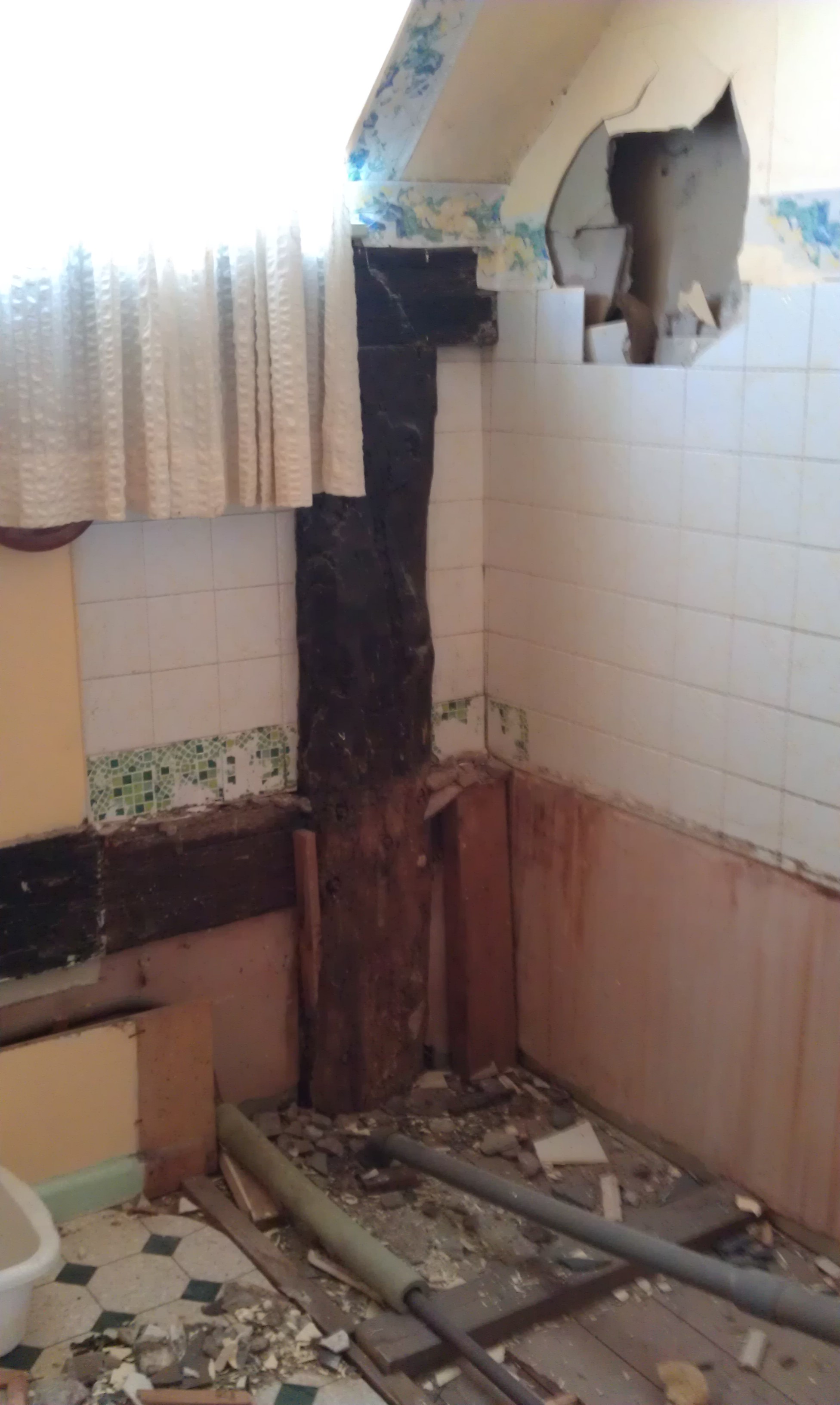 IMAG0279 The gutted bathroom